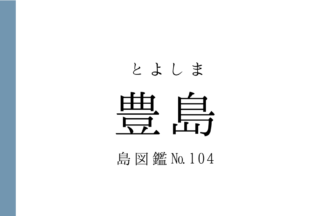 No.104 豊島