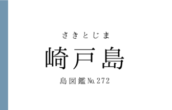 No.272 崎戸島