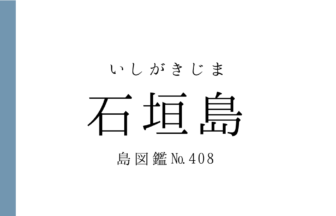 No.408 石垣島