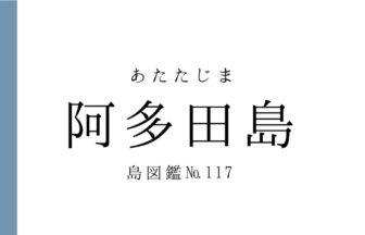 No.117 阿多田島