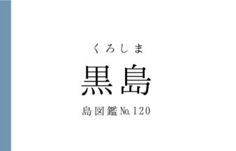 No.120 黒島