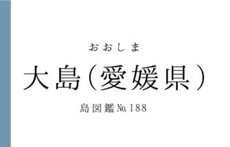 No.188 大島