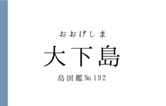 No.192 大下島