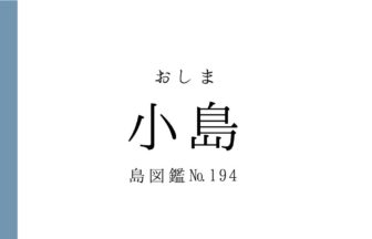 No.194 小島