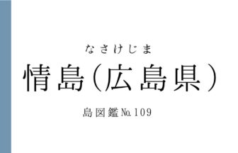 No.109 情島