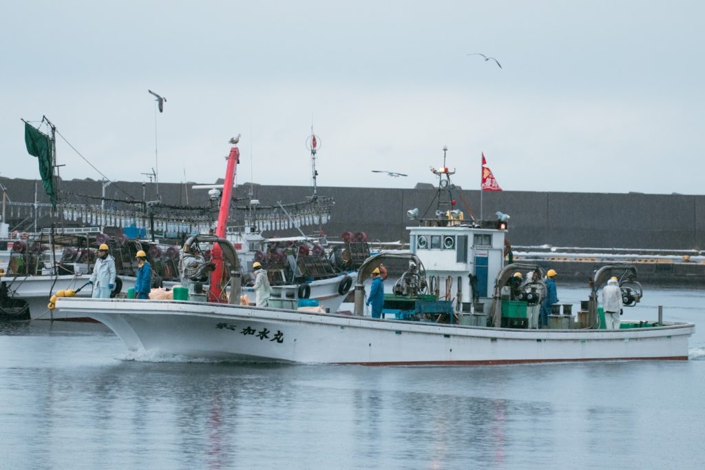 漁業の風景