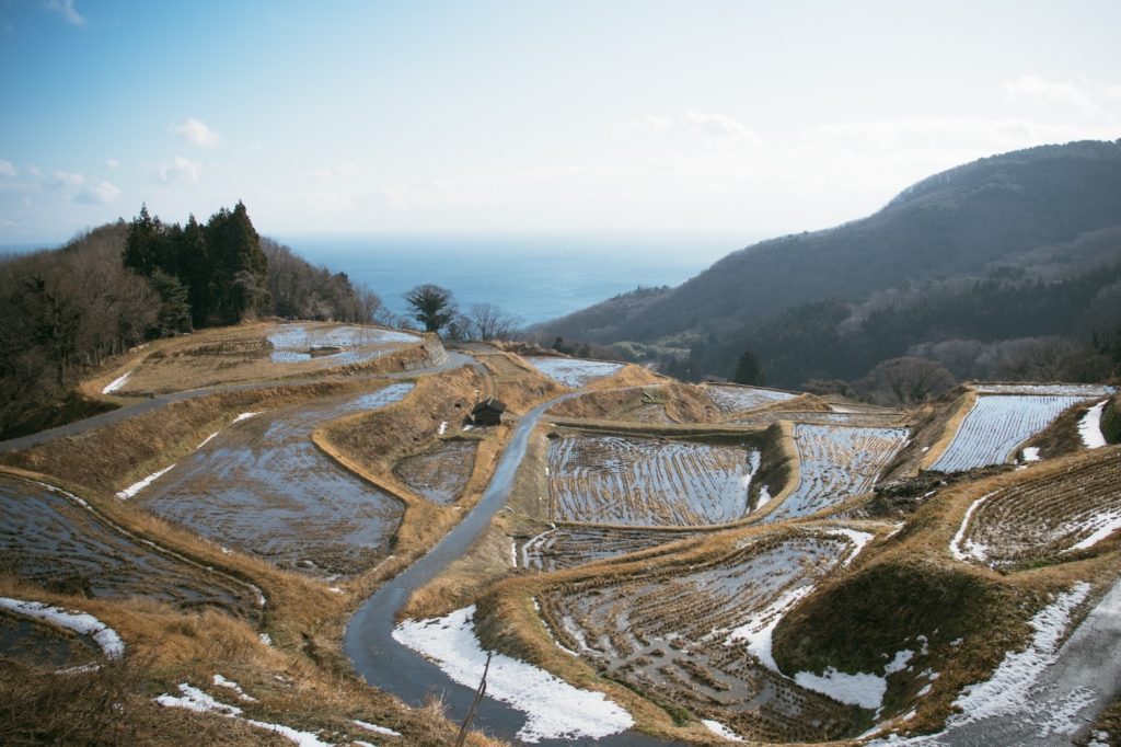 島内に点在する棚田