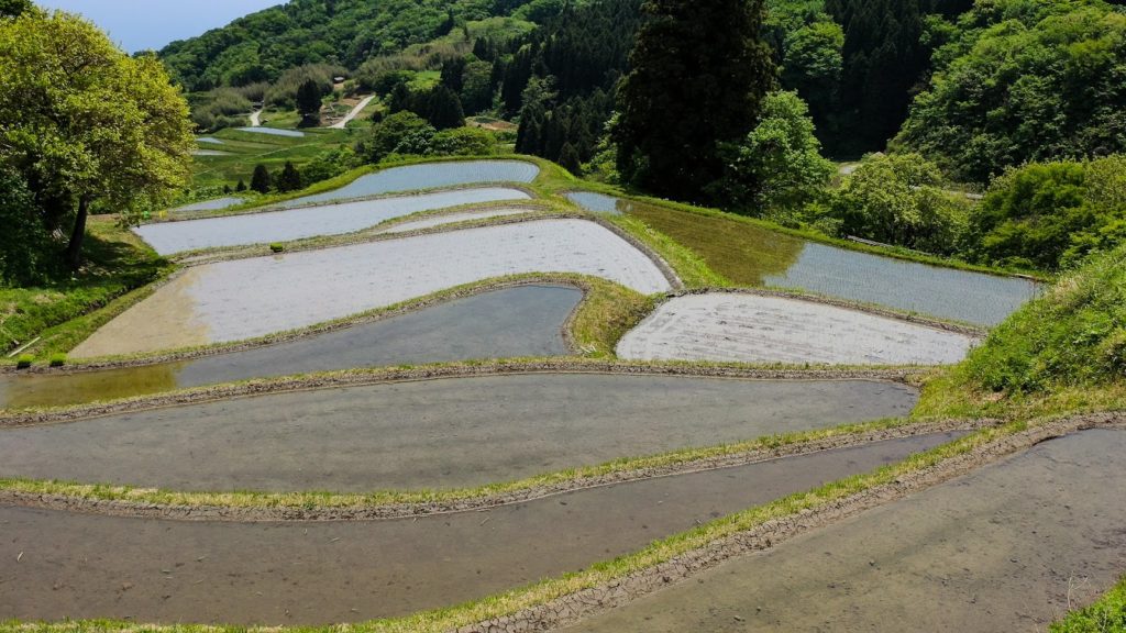 ドローンの撮影映像